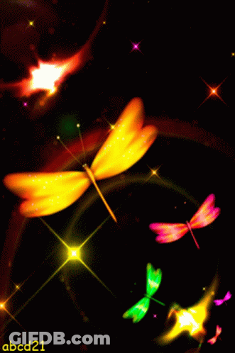 Dragonflies With ABCD21 GIF