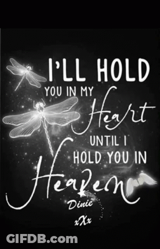 Dragonfly Poster I Hold You In My Heart GIF