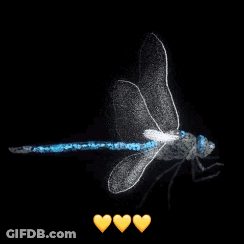 Dragonfly Surrounded By Three Hearts GIF