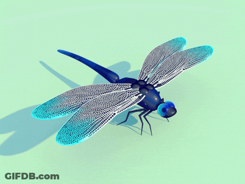 Dragonfly With Blue Eyes On Green GIF