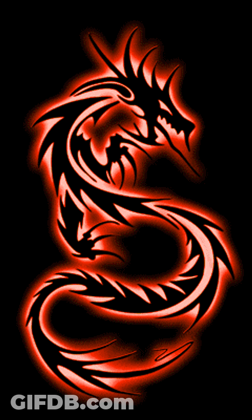 Dragons GIF
