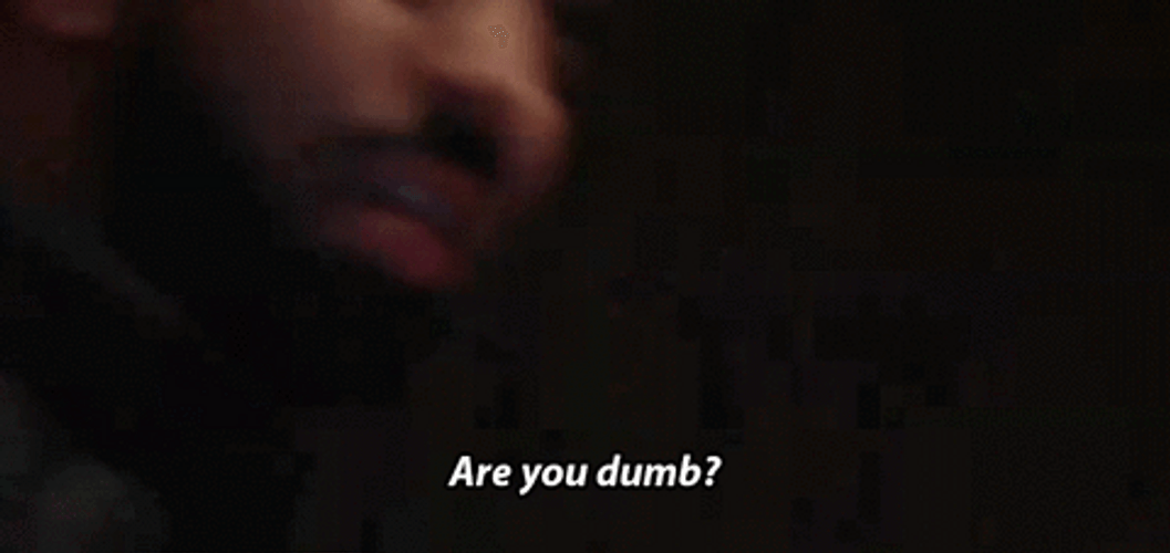 Drake Are You Dumb GIF