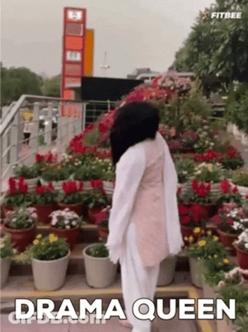 Drama Queen Flower Background GIF