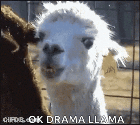 Drama Queen The Dramatic Alpaca GIF