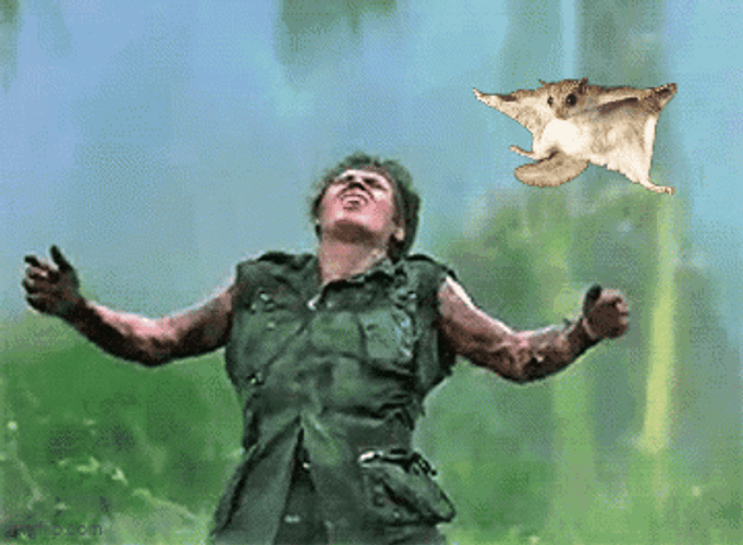 Dramatic Platoon GIF