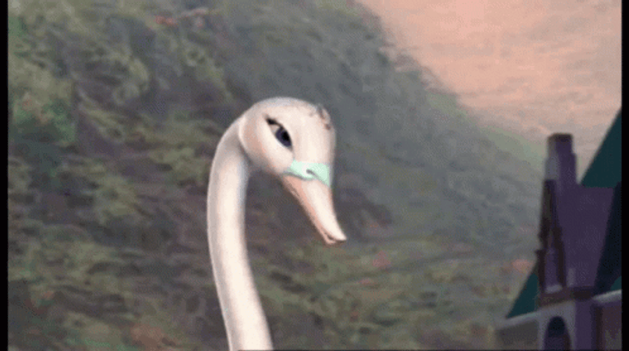 Dramatic Swan Falling Down GIF