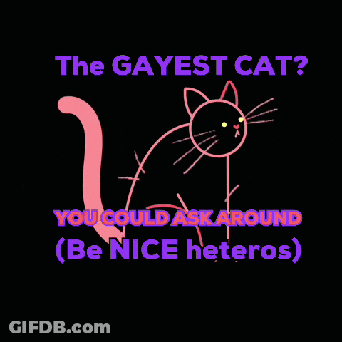 Drawing Of Cat The Gayest Cat You Could Ask Around Be Nice Heteros GIF
