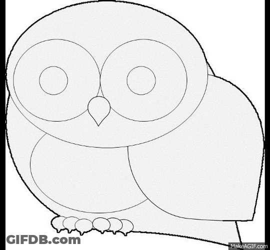 Drawing Owl Abstract Colors GIF