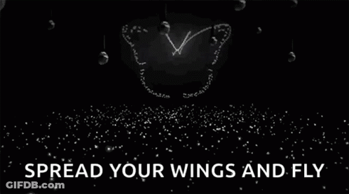 Drawn Butterfly On Black Spread Your Wings And Fly GIF