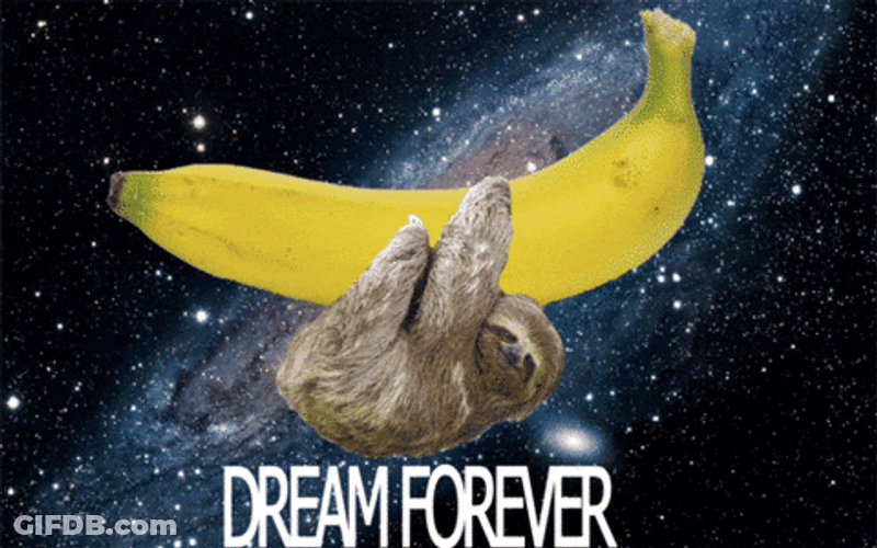 Dream Forever Savannah Bananas GIF