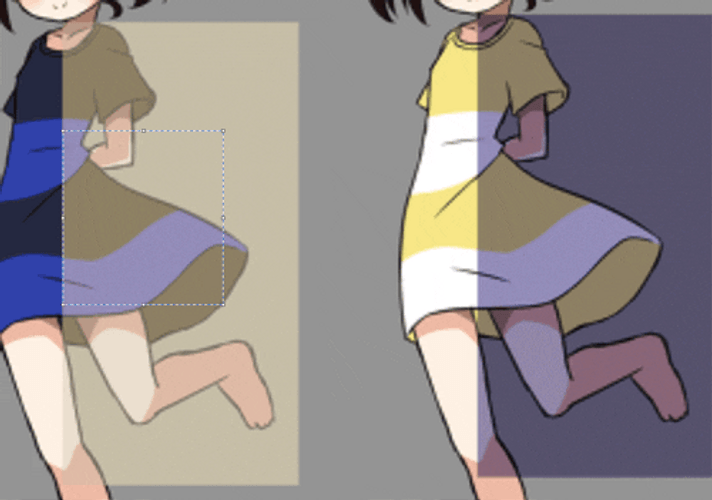 Dress Color Illusion GIF