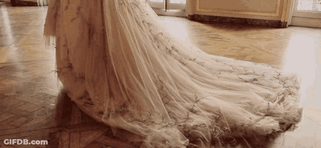 Dress Princess GIF