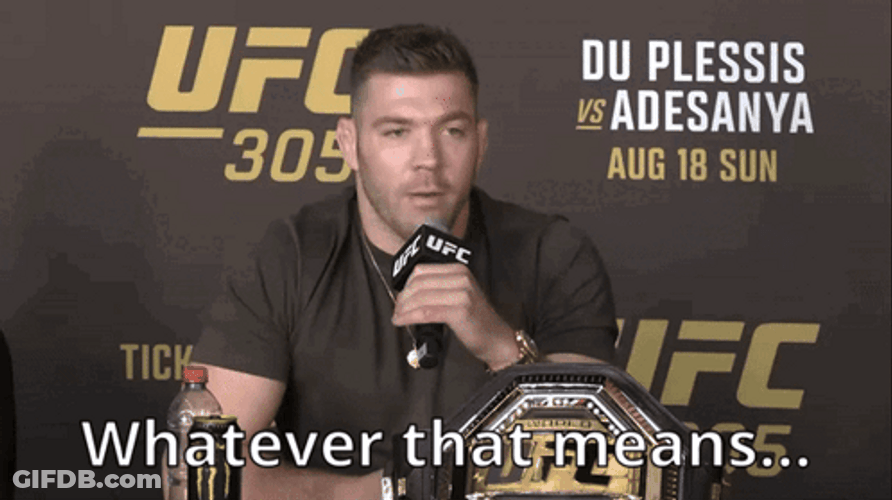 Dricus Du Plessis Ufc Interview GIF