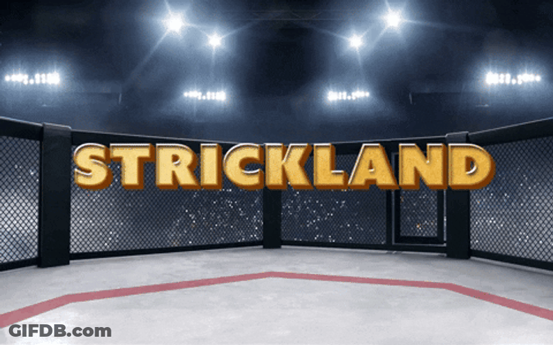 Dricus Du Plessis Wins GIF