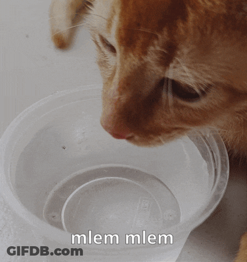 Drink Drink Water GIF
