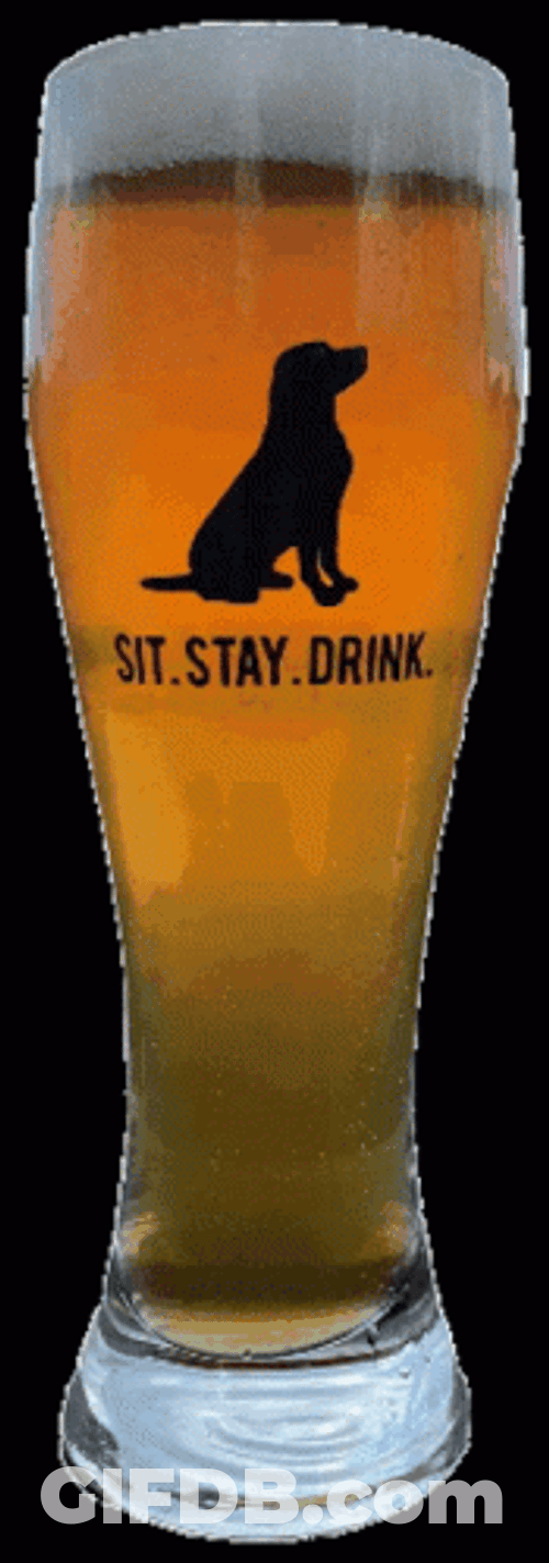 Drinking Beer GIF