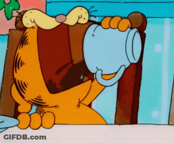 Drinking Coffee Grumpy Cat Garfield GIF