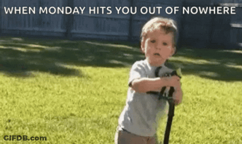 Drinking From A Fire Hose Monday Meme GIF
