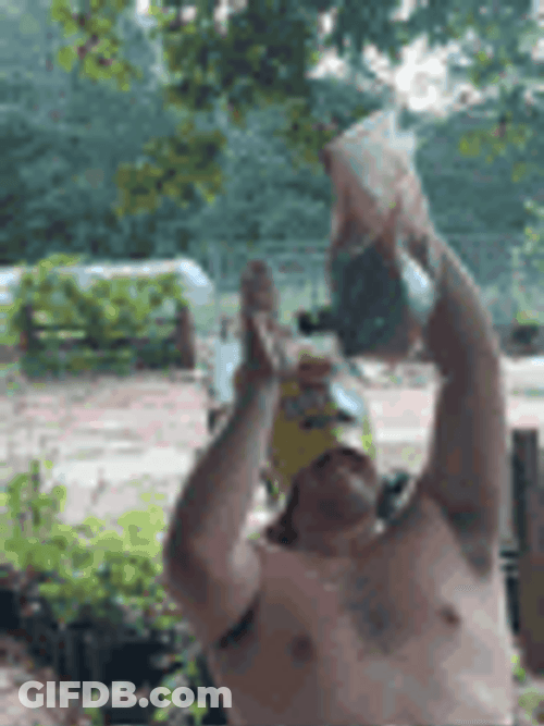 Drinking Twisted Tea In A Plastic GIF
