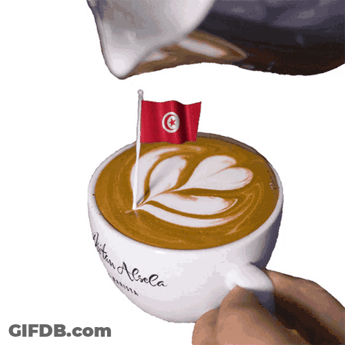 Dritan Dritan Alsela GIF
