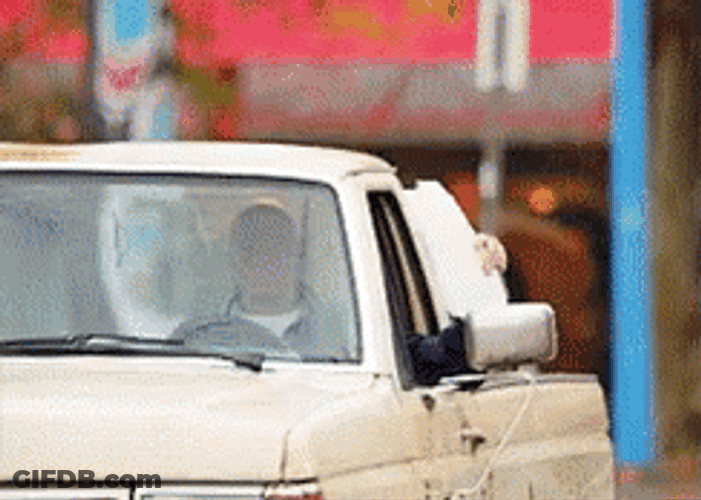 Drive By Suck It Placard GIF