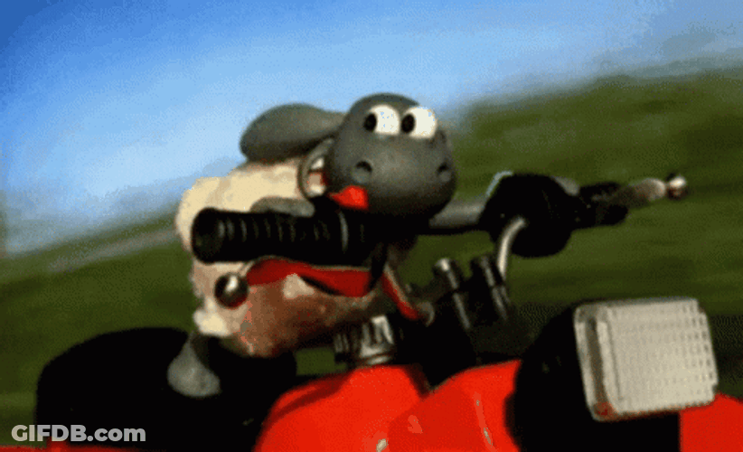 Drive Fast Shaun The Sheep GIF