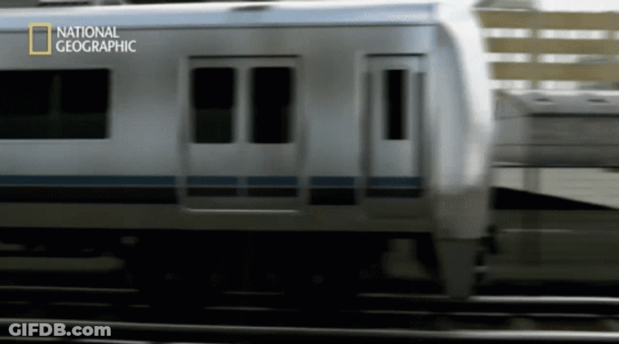 Driver Drive Train Crash Amazingly GIF