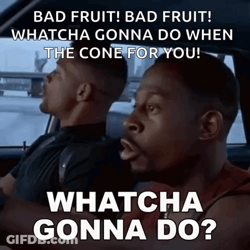 Driver Says Bad Fruit Whatcha Gonna Do GIF