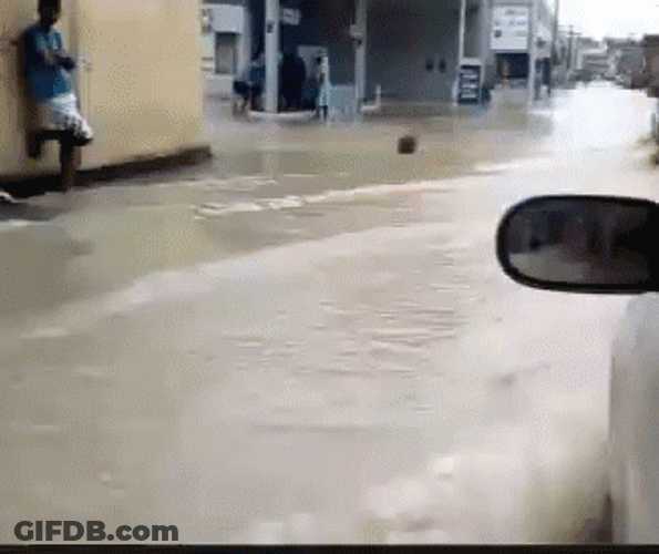 Driving Along The Flooding GIF