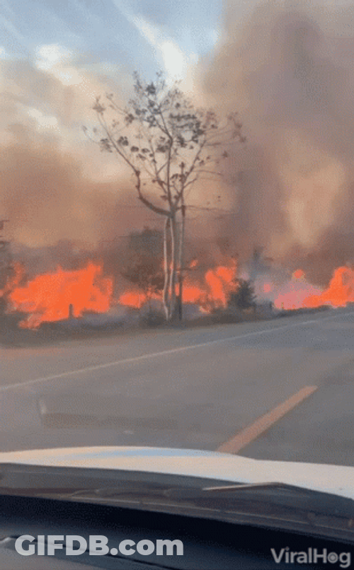 Driving By Scorching Road Wildfire GIF