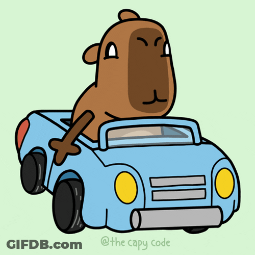 Driving Capybara Joy Ride GIF