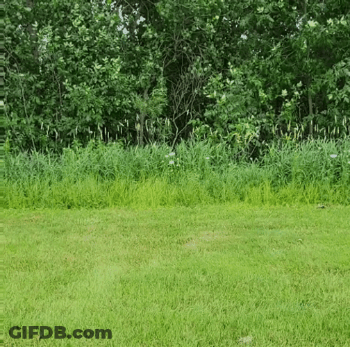 Driving Lawn Mower Ariens Chill Work GIF