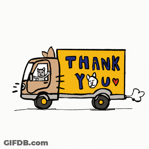 Driving Moving Cat GIF
