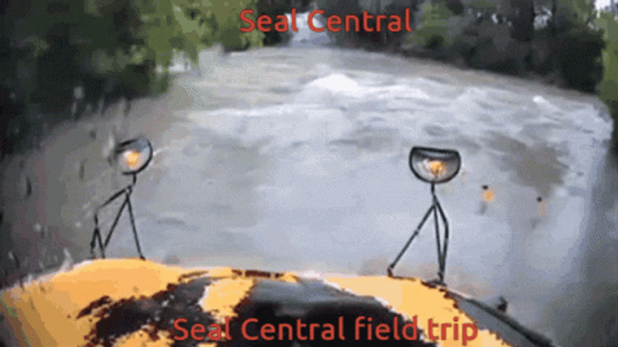 Driving On The Flooding GIF