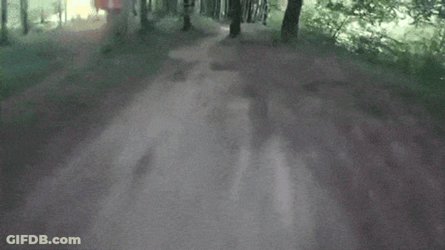 Drone Racing Video GIF