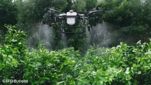 Drone Spraying Lush Green Field GIF