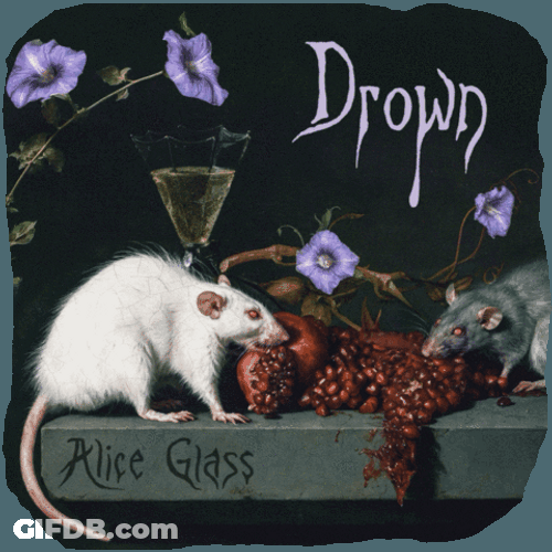Drown Text Rats Eating Graphics Design GIF