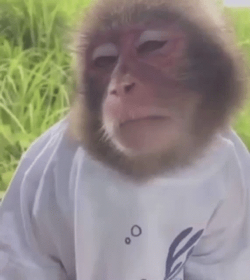 Drowsy Sleepy Monkey GIF