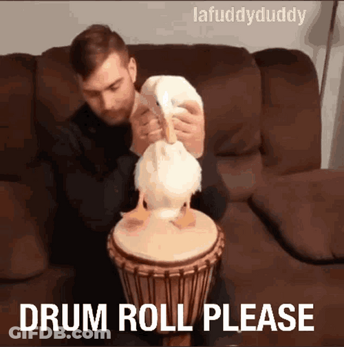 Drum Roll Duck Feet GIF