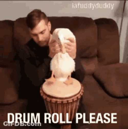 Drum Roll Please Duck GIF