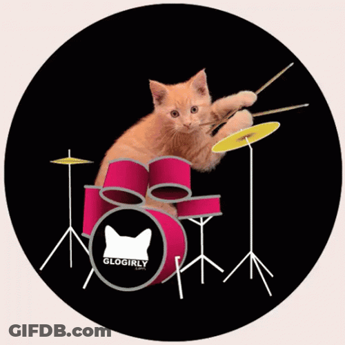 Drum Roll Please Orange Cat GIF