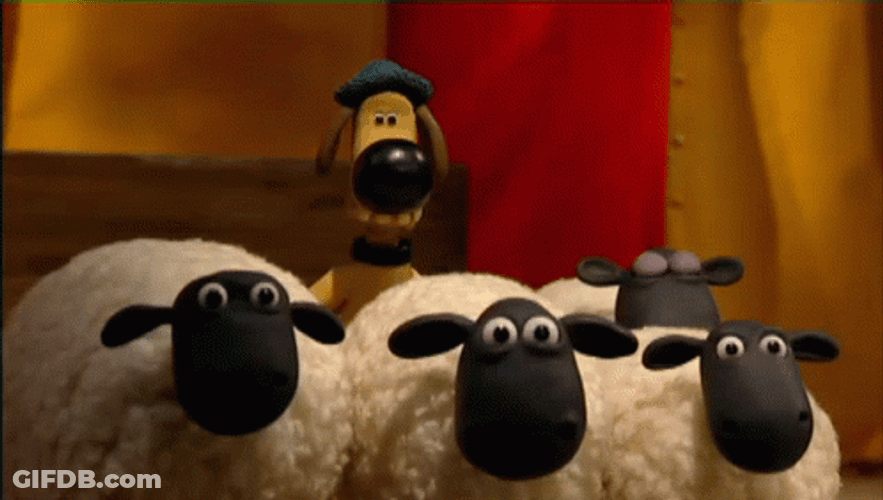Drum Roll Shaun Sheep GIF