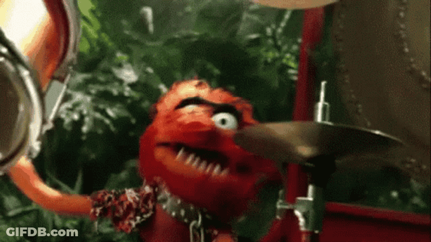 Drumming Muppets Animal GIF