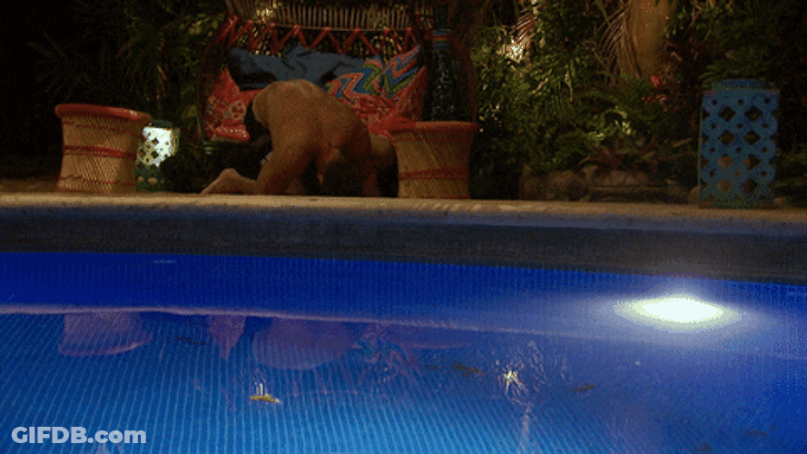 Drunk Chad In Bachelor In Paradise GIF