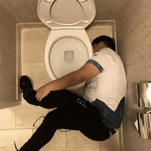 Drunk Guy In Toilet GIF