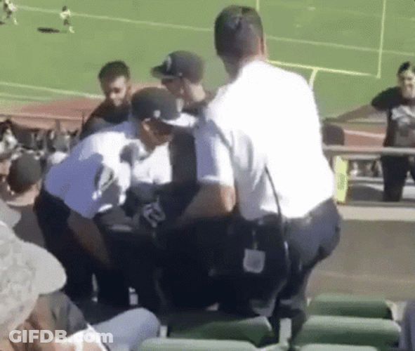 Drunk LA Raiders Fan Passed Out GIF