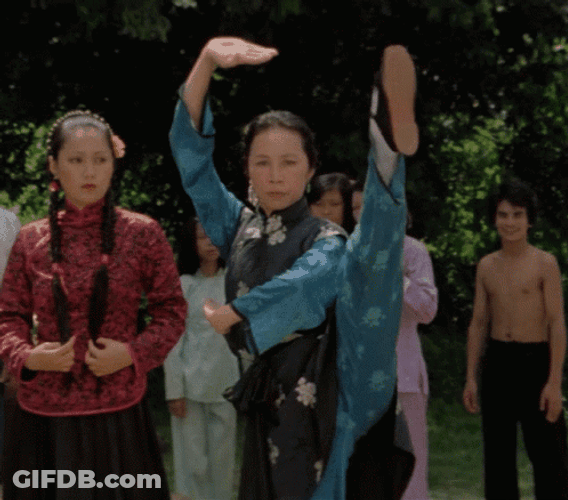 Drunken Master Leg Kung Fu GIF