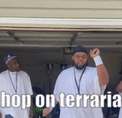 Druski We Got Em Hop On Terraria GIF