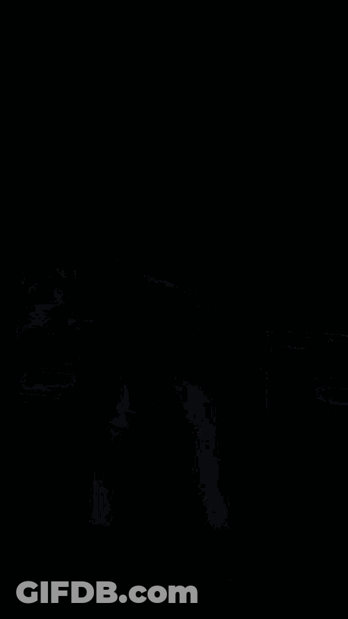 Dst Delta GIF