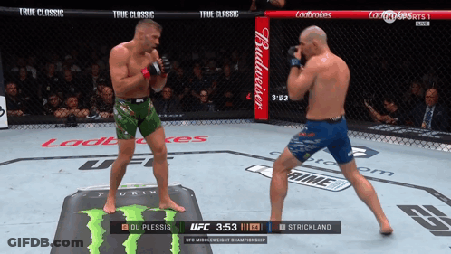 Du Plessis Vs Strickland Boxing Match GIF